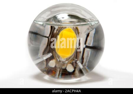 Liquid-cooled LED bulb. LED light bulbs are solid-state lamps that use light-emitting diodes (LEDs), as opposed to the tungsten filament of an incande Stock Photo