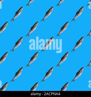 Seafood. Small sea fish, sardines on the blue background. Fish pattern with copy space Stock Photo