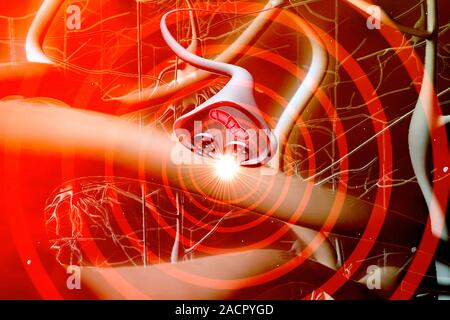Synapse. Computer artwork of a synapse, the junction between nerve cells (orange). Synapses transmit electrical signals from one nerve cell to the nex Stock Photo