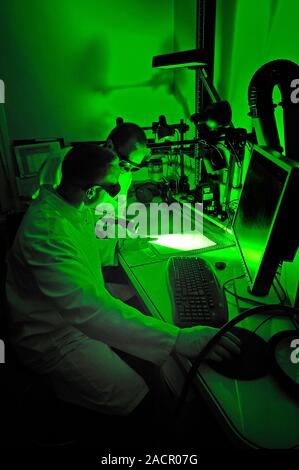 Fingerprint research. Scientists working on a method of viewing fingerprints. Fingerprints are composed of amino acids, sebum, mineral salts and water Stock Photo