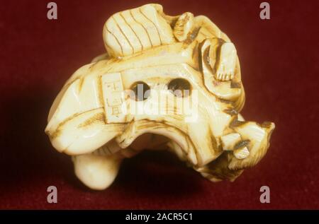 View of the bottom of a Japanese netsuke, carved from ivory, showing a signature. Netsukes are button-like ornaments historically worn in Japan. They Stock Photo