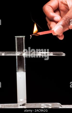 Lit splint test for hydrogen gas. Lit splint being placed in a test tube to test whether the gas being produced by the chemical reaction (magnesium ri Stock Photo