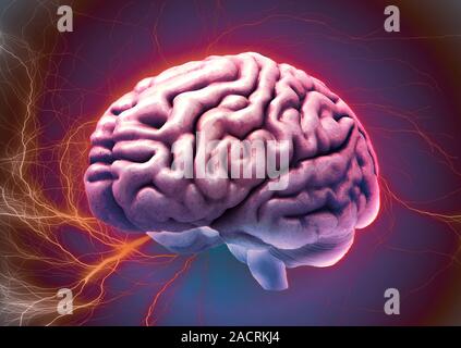 Brain activity, conceptual composite 3D magnetic resonance imaging (MRI) scan and computer artwork. Stock Photo