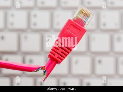 Defective network cable on keyboard Stock Photo