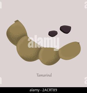 Tamarind sweet tropical fruit and brown grains. Stock Vector