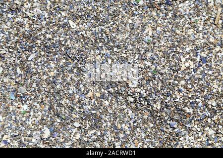 Shells and pebbles on the shore of sea Stock Photo