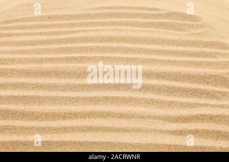 Seamless sand on a whole background. Texture. Stock Photo