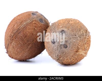 coconuts isolated on a white background Stock Photo