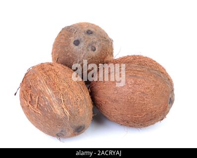 coconuts isolated on a white background Stock Photo