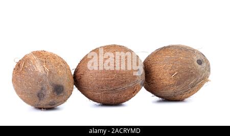 Three coconuts isolated on a white background Stock Photo