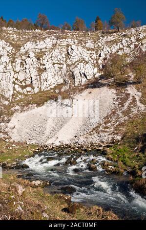 The source of the Saine river near Foncine-le-Haut, Jura (39), Bourgogne-Franche-Comte region, France Stock Photo