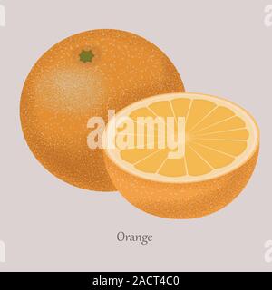 Orange slices ripe fruit on a gray background. Stock Vector