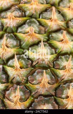 Background of pineapple skin. Macro. Stock Photo