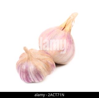 Two garlics. Stock Photo