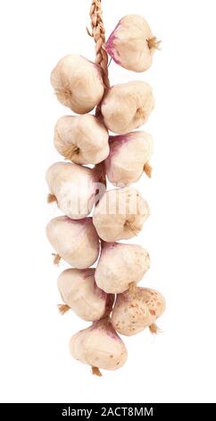 Plait of garlics. Stock Photo