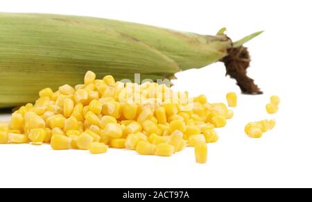 Closed corncob and corn kernels Stock Photo