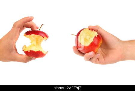 Hands holds core and nibbled apples. Stock Photo