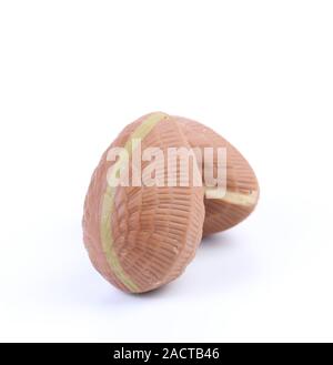 Chocolate seashells. Stock Photo