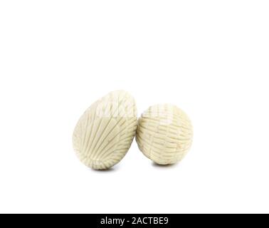 White chocolate seashell. Stock Photo