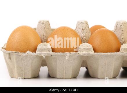 Four brown eggs in egg box Stock Photo