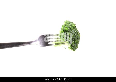 Broccoli floret on a fork. Stock Photo