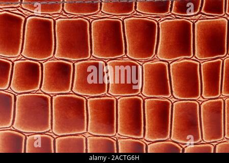 Red brown color of crocodile skin. Stock Photo