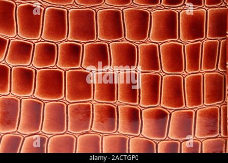 Red brown leather close up. Stock Photo