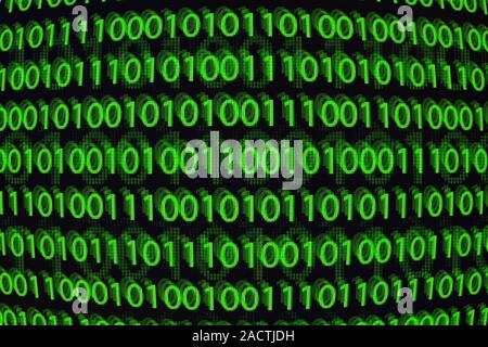 Binary code, conceptual image. Computers process their calculations using on-off (binary) electronic switches, here represented by zeros and ones. The Stock Photo