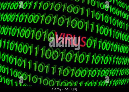 Computer virus, conceptual image. Computer viruses are computer programs that can carry out harmful instructions and copy themselves to other computer Stock Photo