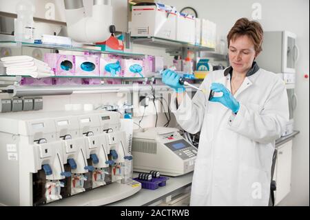 Genetic microarray preparation. Analyst pipetting a prepared DNA (deoxyribonucleic acid) sample onto a gene chip or microarray. This device is used wi Stock Photo