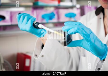 Genetic microarray preparation. Analyst pipetting a prepared DNA (deoxyribonucleic acid) sample onto a gene chip or microarray. This device is used wi Stock Photo
