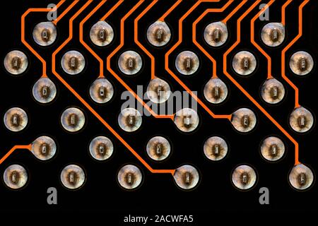 Circuit board. Light micrograph of tin contacts and tracks (orange)on a multilayer printed circuit board (PCB). These contacts are for the central pro Stock Photo