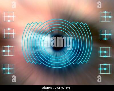 Biometric eye scan. Computer artwork of a human eye being scanned. Biometrics is the identification of individuals by their body parts. The iris, the Stock Photo