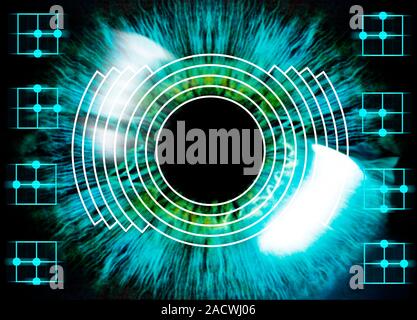 Biometric eye scan. Computer artwork of a human eye being scanned. Biometrics is the identification of individuals by their body parts. The iris, the Stock Photo