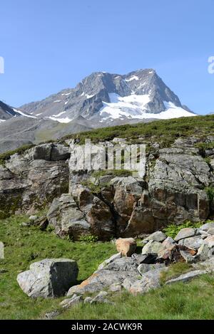 The Mountain Schaufelspitze, Alps, Austria Stock Photo