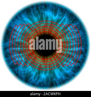 Biometric eye scan. Computer artwork of a human eye being scanned. Biometrics is the identification of individuals by their body parts. The iris, the Stock Photo