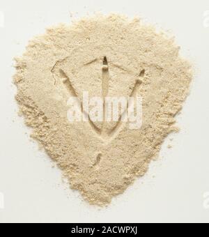 Duck's footprint in white sand, close up. Stock Photo