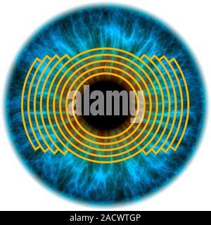Biometric eye scan. Computer artwork of a human eye being scanned. Biometrics is the identification of individuals by their body parts. The iris, the Stock Photo