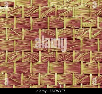 Cotton pillowcase fabric, coloured scanning electron micrograph (SEM). Magnification: x30 when printed at 10 centimetres across. Stock Photo