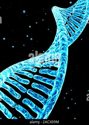 Stylized view of strands of human DNA or deoxyribonucleic acid, computer artwork. Stock Photo