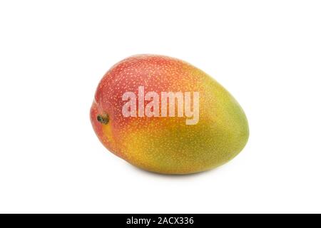 Whole mango on white background Stock Photo