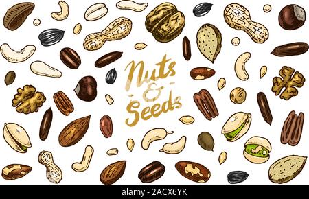 Nuts mix background. Seeds and granule, corn and grain. Hazelnut, Walnut, Almonds. Food concept. Top view. Vintage poster. Engraved hand drawn sketch Stock Vector