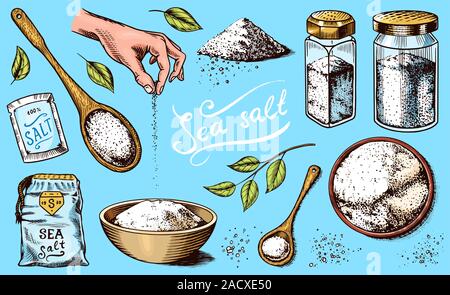 Sea salt set. Glass bottles, packaging and and leaves, wooden spoons, powdered powder, spice in the hand. Vintage background poster. Engraved hand Stock Vector