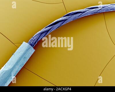 Medical suture. Coloured scanning electron micrograph (SEM) of a medical suture showing the junction of the thread (right) and the needle (left). Stock Photo