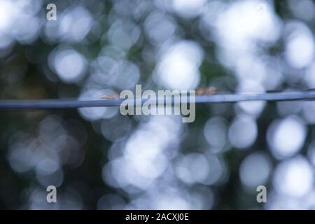 Abstract Blue And White Circular Bokeh Background, Closeup Stock Photo