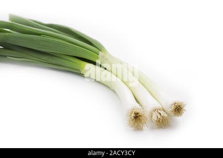 Spring onions, exempt Stock Photo