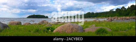 Baltic Islands in height of summer: lush meadows and traveled blocks Stock Photo