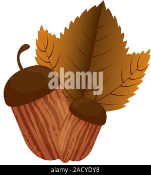 Autumn season acorn and leaf vector design Stock Vector
