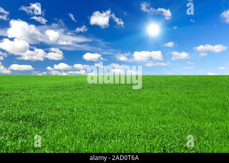 Kefir Cheese Stock Photo