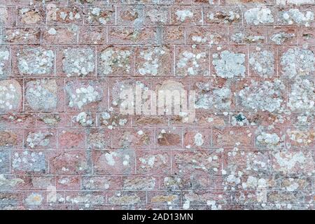 Old wall texture Stock Photo